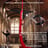 Small thumbnail image for AIRotique aerial performance