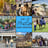 Small thumbnail image for Covenant Animal Encounters