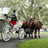 Small thumbnail image for Avalon West Carriage Service