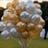 Small thumbnail image for Balloon and Flourish