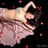Small thumbnail image for Bellydance by America Tru