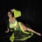 Small thumbnail image for Bellydancer Entertainment