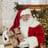 Small thumbnail image for Bespoke Santa