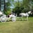 Small thumbnail image for Carolina Carriages