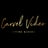 Small thumbnail image for Carvel Video Productions