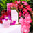 Small thumbnail image for Cocktails by Cryssy