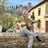 Small thumbnail image for Daniel King