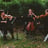 Small thumbnail image for District Strings