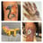 Small thumbnail image for Bay Area Henna and Face Painting