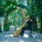 Small thumbnail image for Liz Harpist