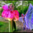 Small thumbnail image for Fluidity Performance