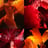 Small thumbnail image for Glammo Production