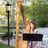 Small thumbnail image for Harpist for all Occasions