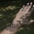 Small thumbnail image for Henna.happiness