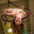 Small thumbnail image for Jeanette Bent