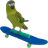 Small thumbnail image for Animal Party Entertainment with Kiwi, The Skateboarding Parrot
