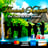 Small thumbnail image for Mariachi Xochipilli