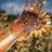 Small thumbnail image for Mother Earth Essence
