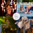 Small thumbnail image for Alchemy Performing Arts