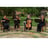 Small thumbnail image for Norman String Quartet