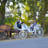 Small thumbnail image for Orange Sky Carriage Rides LLC