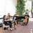 Small thumbnail image for Organic String Quartet