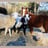 Small thumbnail image for Peaceable Kingdom Petting Zoo