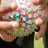 Small thumbnail image for P.L.A.A. (Peace Love &amp; Adapted Activity)