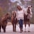 Small thumbnail image for Pony Tales LLC