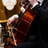 Small thumbnail image for Professional Cellist