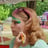 Small thumbnail image for Rainbow Facepainting