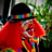 Small thumbnail image for Rainbow the Clown