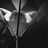 Small thumbnail image for Jonathan Hodges