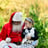 Small thumbnail image for Jolly Santa Jerry