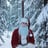 Small thumbnail image for Santa Bernard