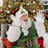 Small thumbnail image for Santa Braxton