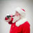 Small thumbnail image for Santa Dave