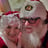 Small thumbnail image for Santa Anthony and Mrs Deb Claus