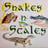 Small thumbnail image for Snakes-N-Scales