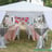 Small thumbnail image for Snob•bish Event Planner