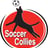 Small thumbnail image for Soccer Collies