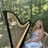 Small thumbnail image for Sounds of the Harp