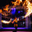 Small thumbnail image for SpinElements