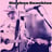 Small thumbnail image for Stephen Sunshine