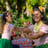 Small thumbnail image for Kahula Voyage