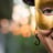 Small thumbnail image for The Great Surprisal