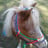 Small thumbnail image for Trick Pony Parties