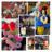Small thumbnail image for Blooming Balloons