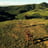 Small thumbnail image for Woody String Duo