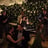 Small thumbnail image for Zizania Swing